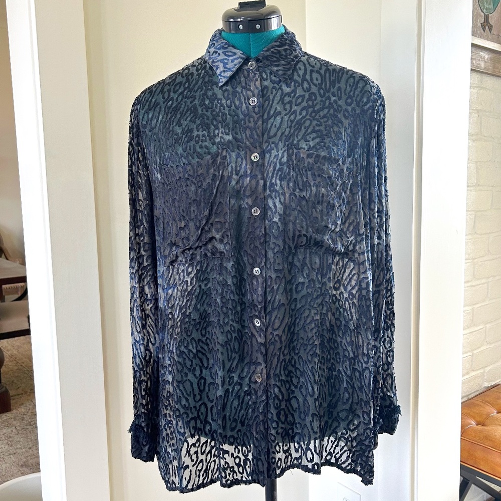 Raquel Allegra Silk Blend Velvet Burnout Sheer Blouse